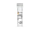 StemSpan™ B Cell Differentiation Supplement 3 (20X)
