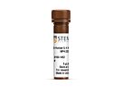 Anti-Human IL-4 Antibody, Clone MP4-25D2, PE
