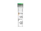 Human Recombinant Flt3/Flk-2 Ligand (CHO-expressed)