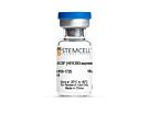 Mouse Recombinant M-CSF (HEK293-expressed)