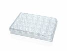 Costar® 24-Well Flat-Bottom Plate, Tissue Culture-Treated