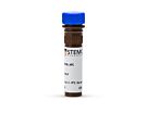 Anti-Human CD3 Antibody, Clone UCHT1