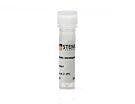 Anti-Human TRA-2-49 Antibody, Clone TRA-2-49/6E