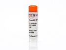 Human Bone Marrow CD34+ Cells, Frozen