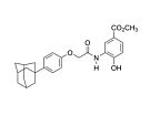 HIF1α抑制剂