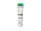 Mouse Recombinant EGF