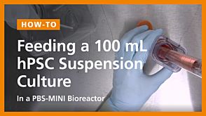 Feeding a 100mL hPSC Suspension Culture in a PBS-Mini Bioreactor