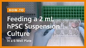 Feeding a 2mL hPSC Suspension Culture in a 6-Well Plate