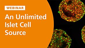 An Unlimited Islet Cell Source