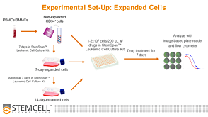 Troubleshooting In Vitro Expansion of Leukemic Cells