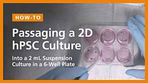 Passaging a 2D hPSC Culture into a 2 mL Suspension Culture in a 6-Well Plate