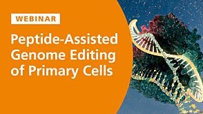 Peptide-Assisted Genome Editing of Primary Cells