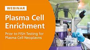 Plasma Cell Enrichment Prior to FISH Testing