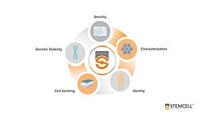 Pluripotent Stem Cell Characterization and Banking Services