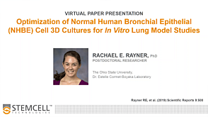 Optimization of Normal Human Bronchial Epithelial Cell 3D Cultures for In Vitro Lung Model Studies