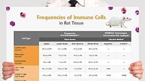 Frequencies of Immune Cells in Rat Tissue