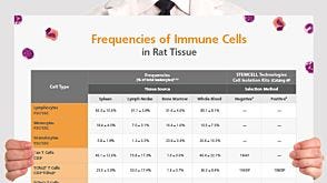 Frequencies of Immune Cells in Rat Tissue