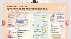 SnapShot: COVID-19