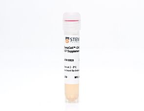 ClonaCell™-CHO ACF Supplement