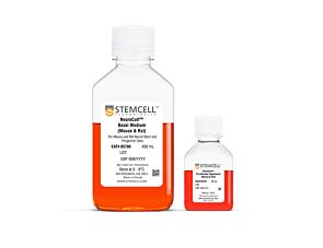 NeuroCult™ Proliferation Kit (Mouse)