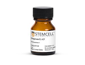 Collagenase B, ACF|07438