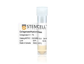 Collagenase/Hyaluronidase