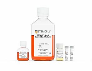 STEMdiff™ Dorsal Forebrain Organoid Differentiation Kit