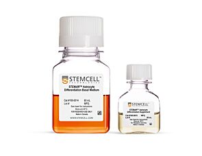 STEMdiff™ Astrocyte Differentiation Kit