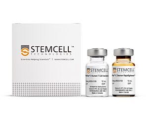 RoboSep™-C Human T Cell Isolation Kit