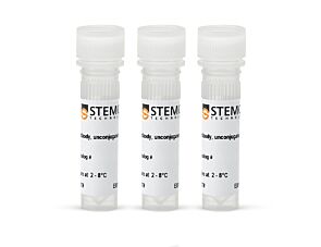 Extracellular Vesicle Human CD9/CD63/CD81 Antibody Panel