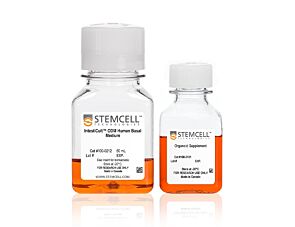 IntestiCult™ Organoid Differentiation Medium (Human)
