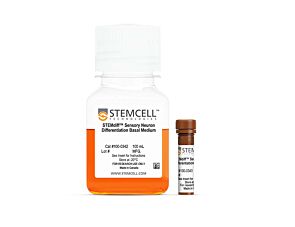 STEMdiff™ Sensory Neuron Differentiation Kit
