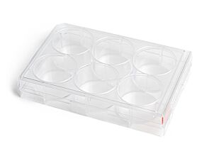 CellAdhereᵀᴹ Collagen I-Coated Plate
