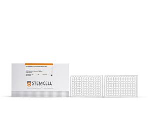 HTS Transwell®-96, 0.4 µm Pore Polyester Membrane Inserts