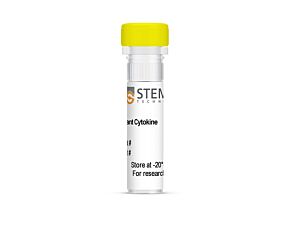 Human Recombinant gAdiponectin (gAcrp30), ACF