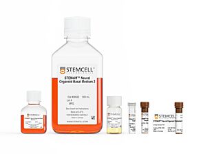 STEMdiff™ Midbrain Organoid Differentiation Kit