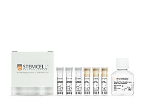 EasySep™ Human Bone Marrow CD138 Positive Selection Kit (IVD)