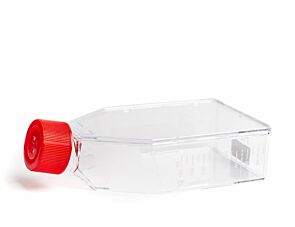CellAdhereᵀᴹ Gelatin-Coated Flask