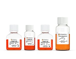 STEMdiff™-ACF RPE Differentiation Kit