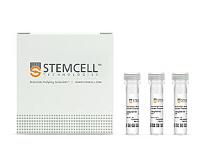ImmunoCult™ Mouse T Cell Activator Kit