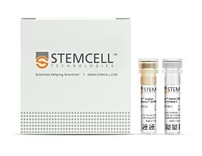 EasySep™ Human CD3 Positive Selection Kit II|17851