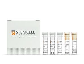 EasySep™ Human Central and Effector Memory CD8+ T Cell Isolation Kit