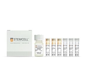 EasySep™ HLA Chimerism Whole Blood Lymphoid Positive Selection Kit