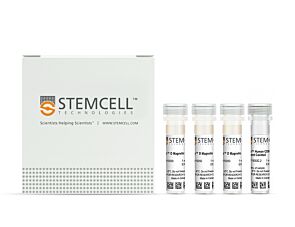 EasySep™ Human CD8+ T Cell Enrichment Kit|19053