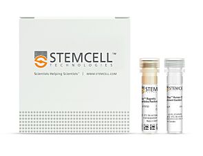 EasySep™ Human Custom Enrichment Kit|19309