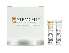 EasySep™ Rat CD8+ T Cell Isolation Kit