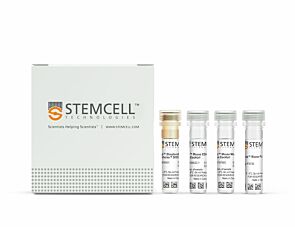 EasySep™ Mouse Naïve CD4+ T Cell Isolation Kit