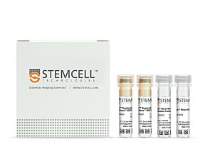 EasySep™ Mouse Memory CD4+ T Cell Isolation Kit