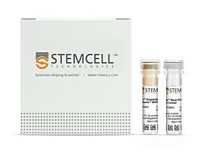 EasySep™ Mouse Pan-B Cell Isolation Kit|19844