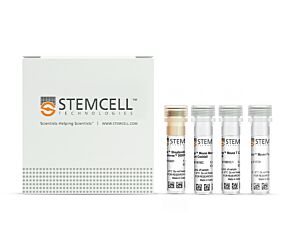 EasySep™ Mouse Pan-Naïve T Cell Isolation Kit